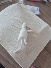 Workshop compleet, Sunny de Muis, zaterdag 18 april