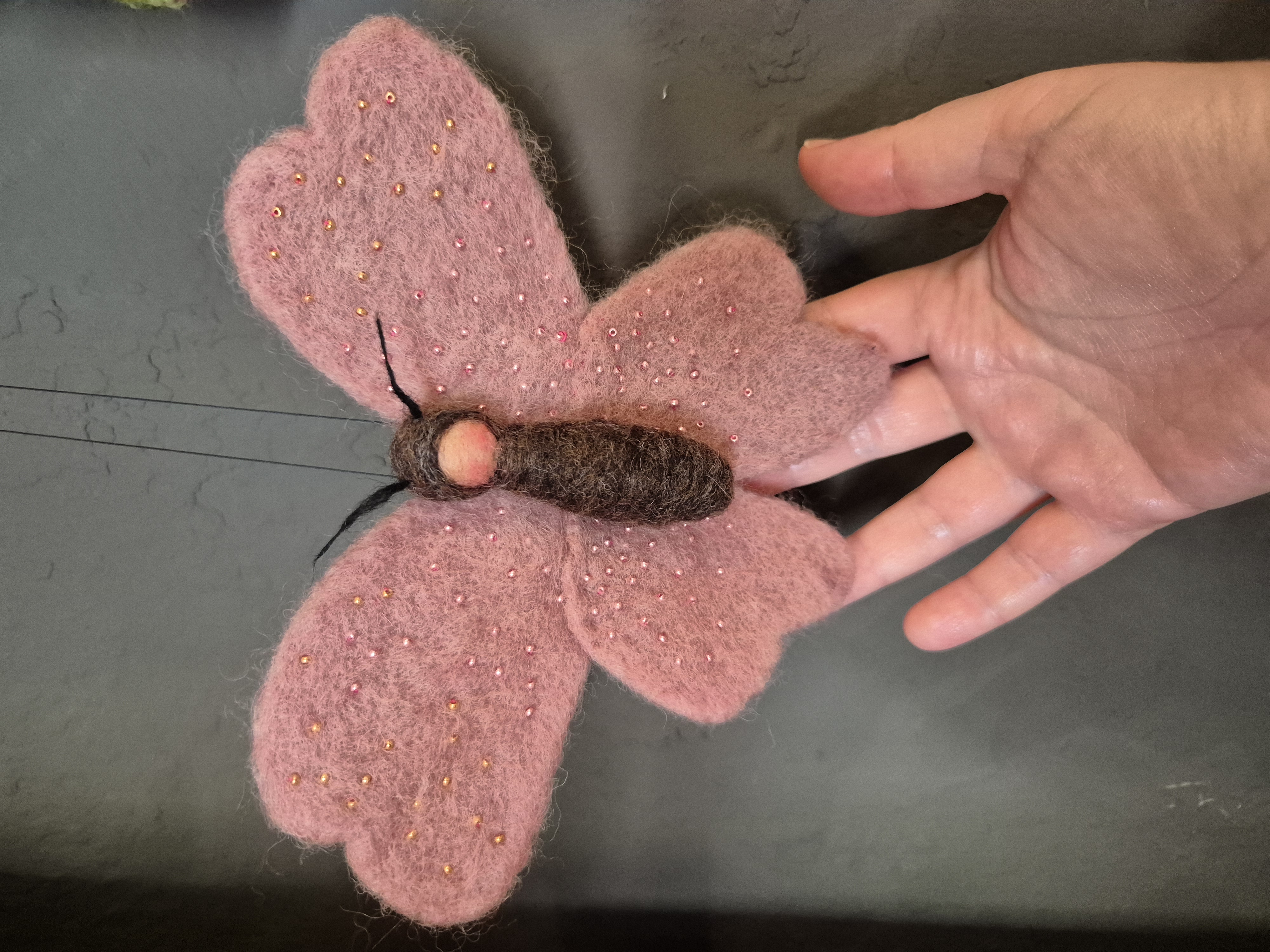Vlinder