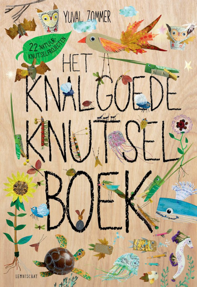 Uitgeverij Lemniscaat | Het knalgoede knutselboek