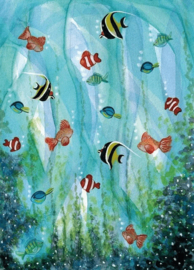 Bijdehansje | Fish  | Postcard