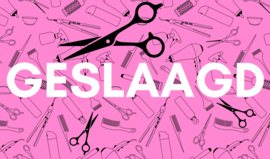 Geslaagd Vlag - Kapper Roze