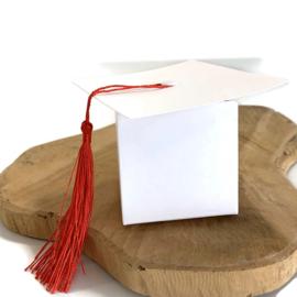 Cadeau doosje wit - Geslaagd- Afstudeerhoed