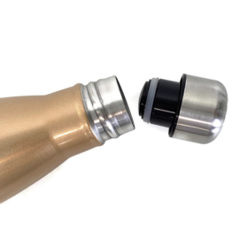 Dubbelwandige fles - zorg symbolen - Golden