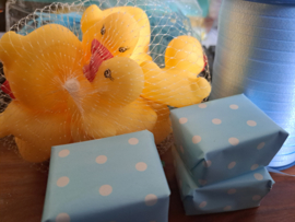 Iets grotere Badeendje op een blauw nestje 🐤