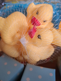 Iets grotere Badeendje op een blauw nestje 🐤