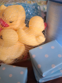 Iets grotere Badeendje op een blauw nestje 🐤