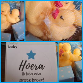 Iets grotere Badeendje op een blauw nestje 🐤