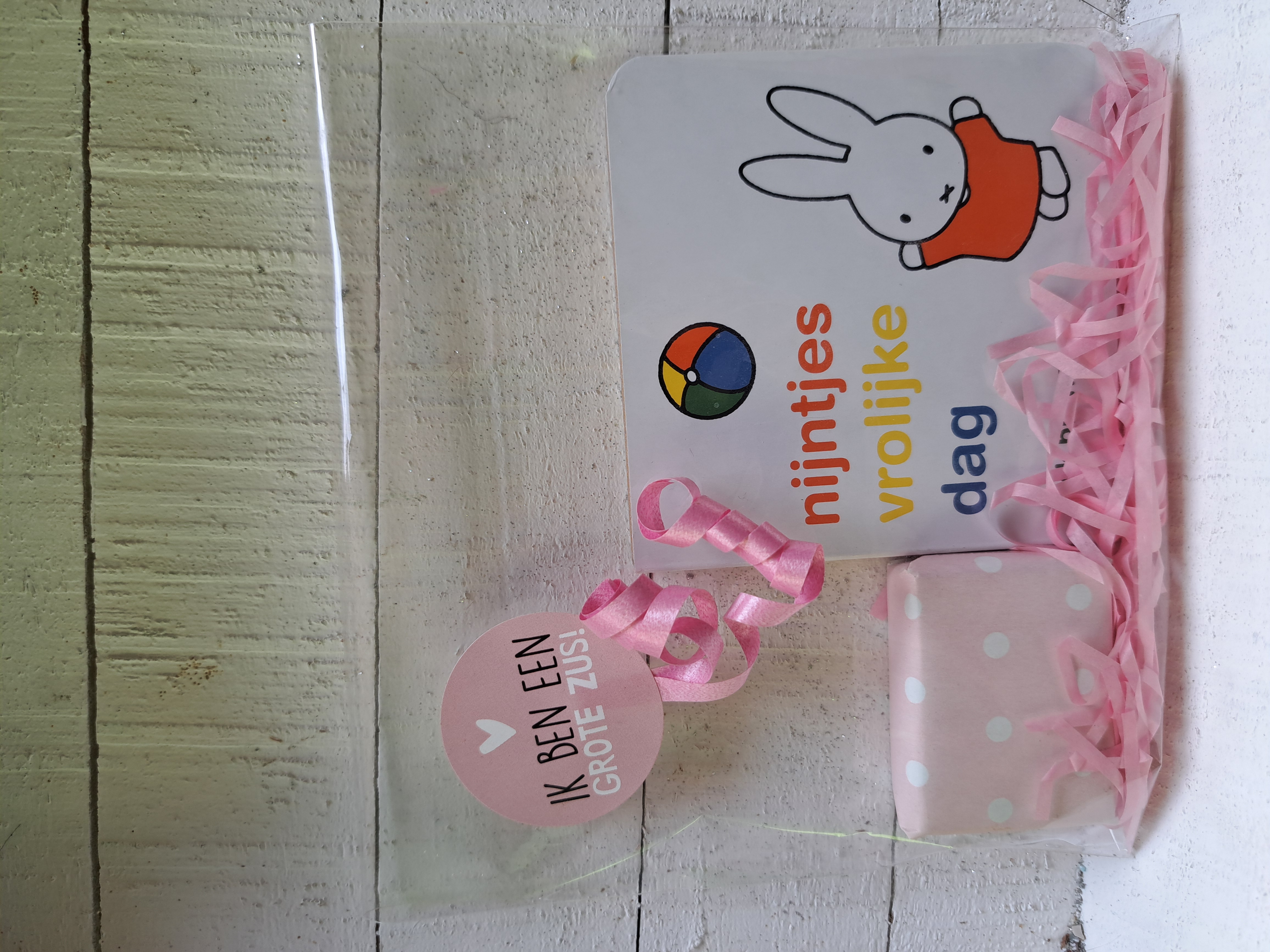 Lezen met Nijntje🐰🩷