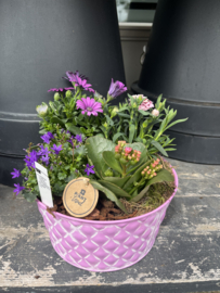 Buitenbak fleurig