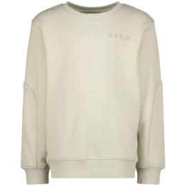 Hoodie RAIZZED BOYS Mahon moon sand