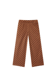 Broek SOMEONE Hiver light brown