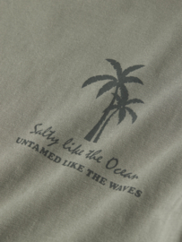 T-shirt NAME IT boys Lom shadow