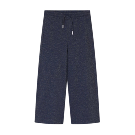 Broek CKS glitter