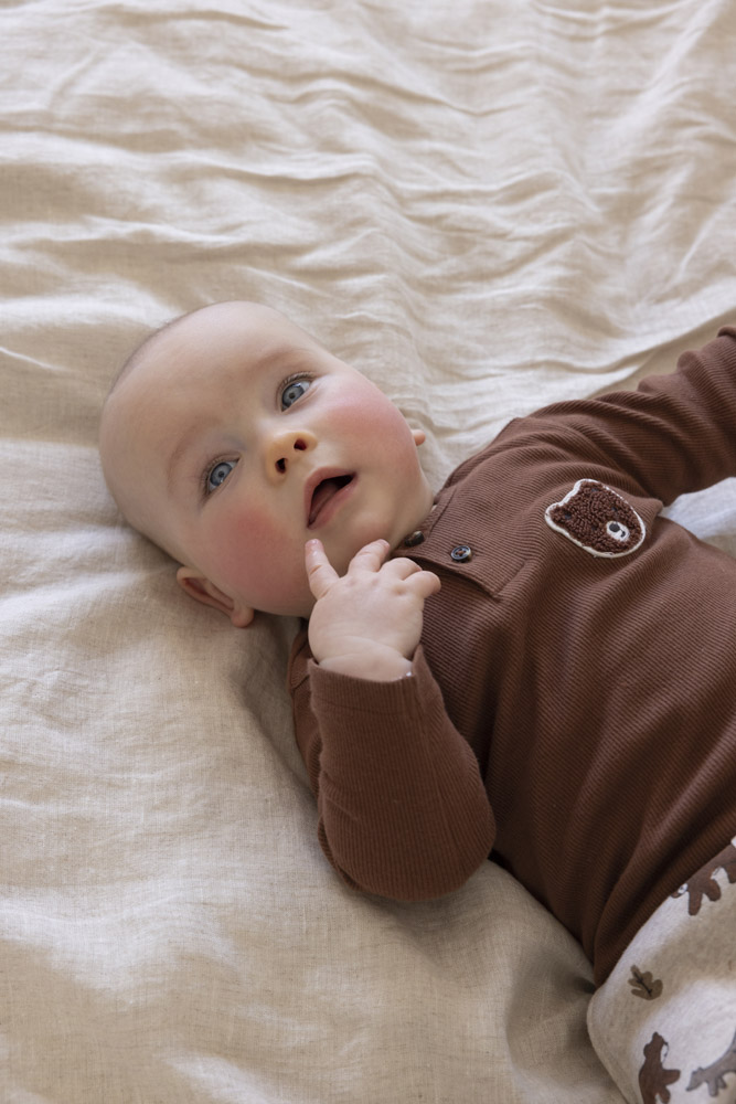 Broek FEETJE wild world taupe melange 52202422