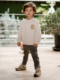 Trui DAILY7 BOYS sandshell 920240