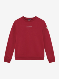 Sweater IBJ BOYS chest and backprint soft bordeaux 960826