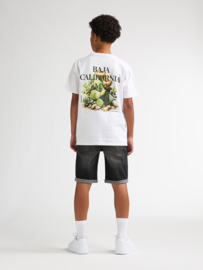 Shirt PETROL B-1060-TSR654 bright white