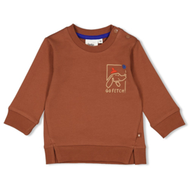 Sweater Feetje Go Fetch bruin 51602472