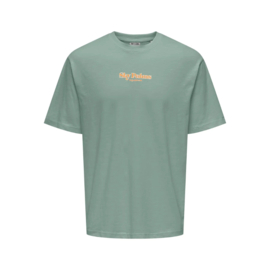 T-shirt ONLY&SONS Luis groen