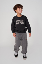 Loose fit broek STURDY Mountain top 72200264 grijs
