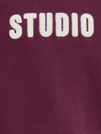 Trui SWEAT LS CREW NOOS fig