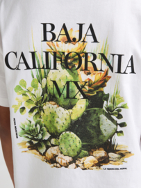 Shirt PETROL B-1060-TSR654 bright white