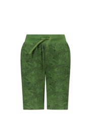 Short Tygo&vito 6622 green