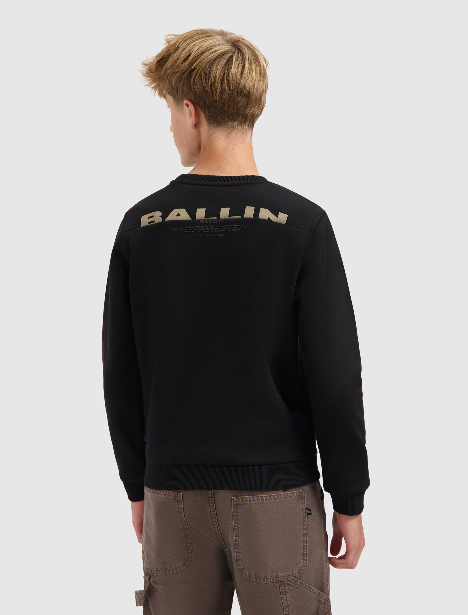 Sweater BALLIN black 25037312