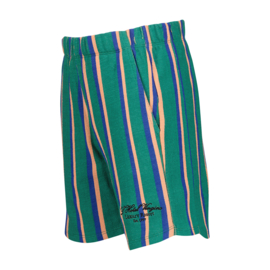 Korte broek VINGINO BOYS Ripers ivy