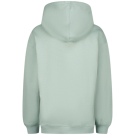 Hoodie RAIZZED BOYS Norman grey mist