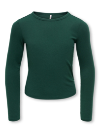 Korte longsleeve LUCKY NOOS June bug