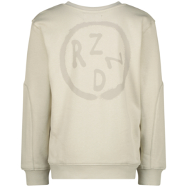 Hoodie RAIZZED BOYS Mahon moon sand