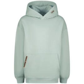 Hoodie RAIZZED BOYS Norman grey mist