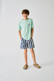Shirt ONLY&SONS Popsicello brook greene