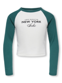 Longsleeve ONLY LUCKY June bug