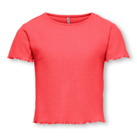 Shirt ONLY Nella dubarry