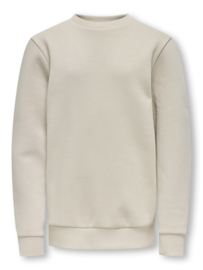 Sweater ONLY&SONS Ceres silver