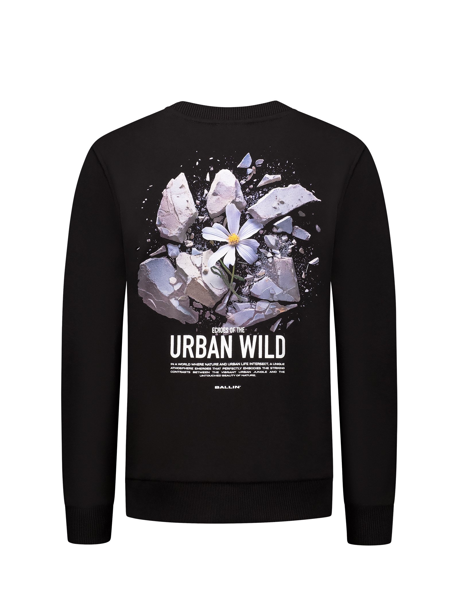Sweater BALLIN black 25037325