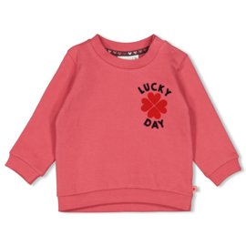 Trui FEETJE queen of hearts roze 51602641