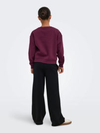 Trui SWEAT LS CREW NOOS fig