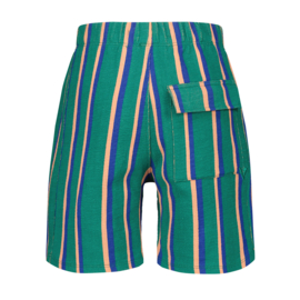 Korte broek VINGINO BOYS Ripers ivy