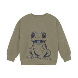 Sweater Minymo 133841 kikker