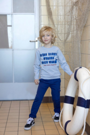 Sweater STURDY waves and whales blauw 71600643
