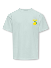 Loose fit shirt ONLY Carina wan blue dolce vita