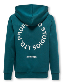 Hoodie ONLY&SONS Connor groen