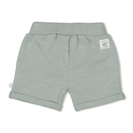 Korte broek FEETJE turtelly cool zeegroen 52100416
