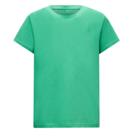 T-shirt RETOUR BOYS Seth fem green (RBJ-051-204)