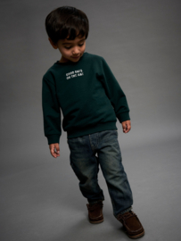 Sweater NAME IT boys Slade groen
