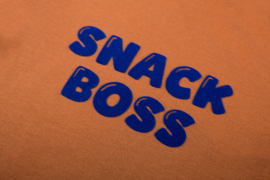 Shirt SOMEONE BOYS Felix terra