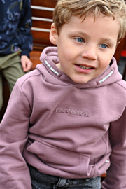 Hoodie STURDY rock the earth mauve 71600677